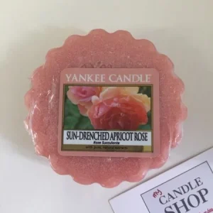 TARTELETTE SUN-DRENCHED APRICOT ROSE / ROSE SUCCULENTE