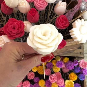 FLEUR DE CIRE – Diffusion Fleur de Coton