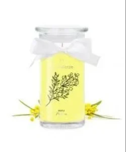 GENTLE Mimosa JEWELCANDLE – Bougie Bijou Collier